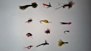 blog4