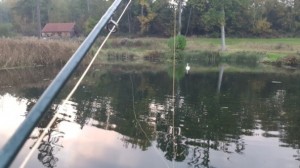 blog7