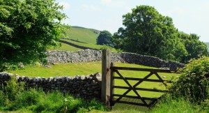 gate-to-the-countryside