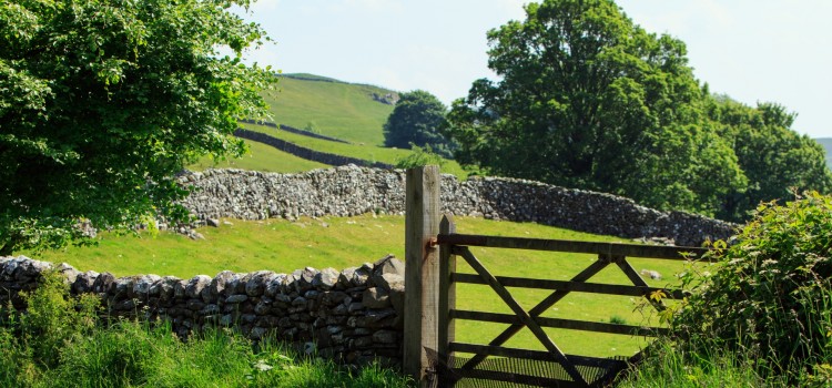 6 Ways You Can Save Money by Relocating to the Countryside