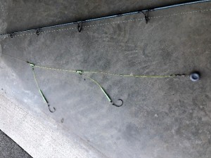 Blog9