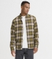 Bhasmus Check Shirt - Asmus May
