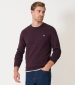 Organic Cotton Crew - Mahogany