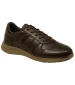 Stewarton Casual Shoe - Chestnut