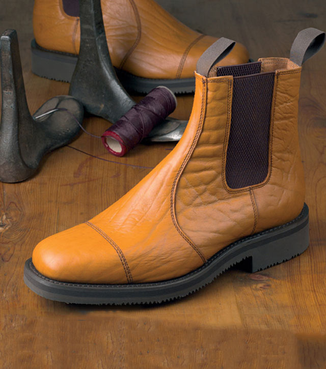 Hoggs Ashford - 