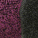 Protrek Lightweight Sock - Raspberry/Grey